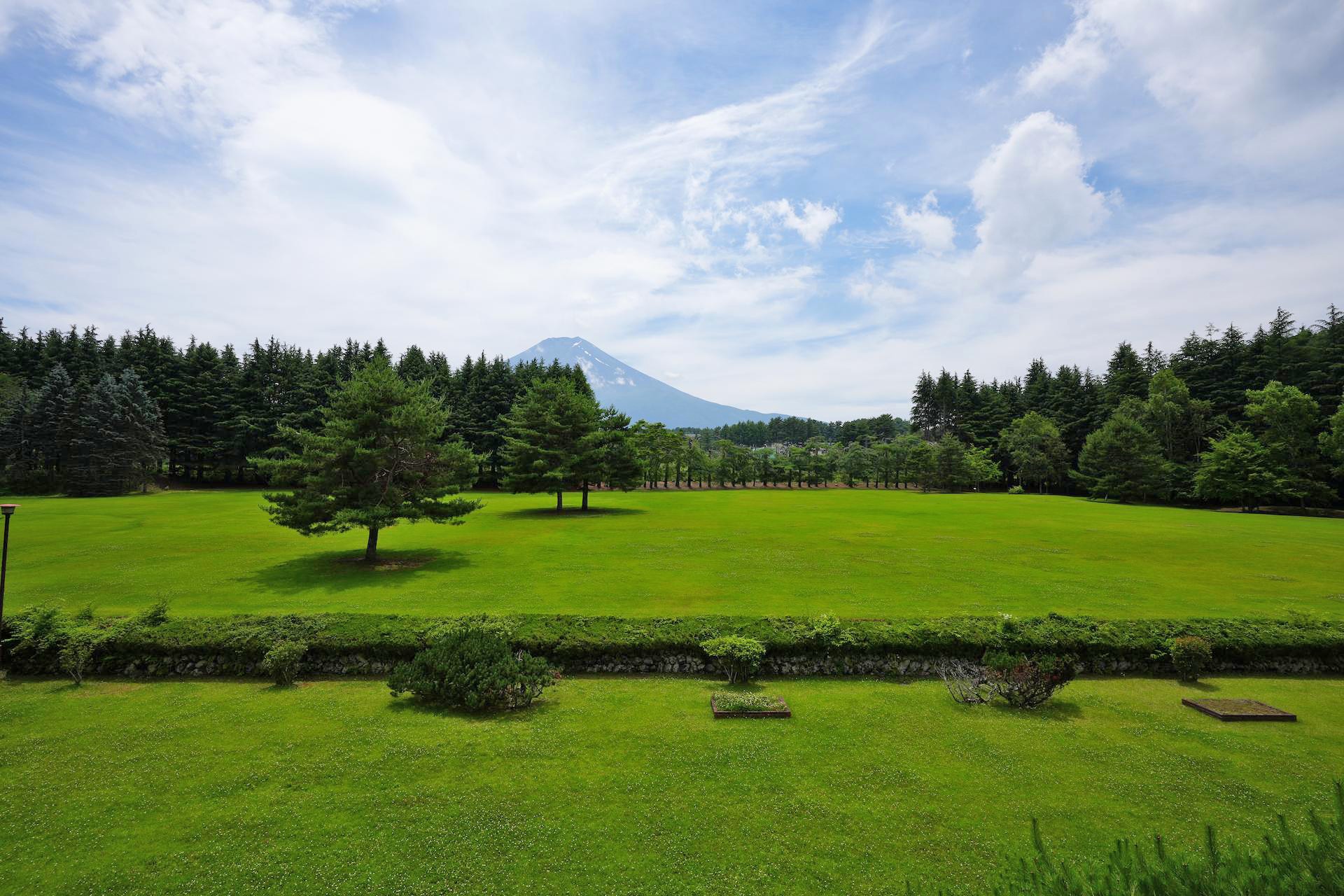 芝生広場